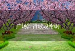 广场舞赞歌段希帆