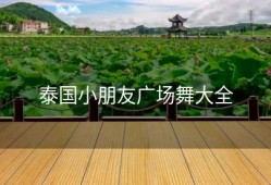 泰国小朋友广场舞大全