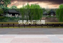 俩老头广场舞