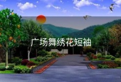 广场舞绣花短袖