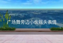 广场舞旁边小伙摇头表情