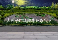 大辫子广场舞郴州永兴人