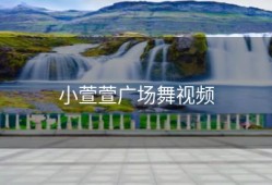 小萱萱广场舞视频