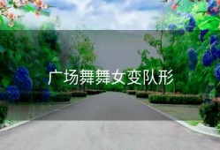 广场舞舞女变队形