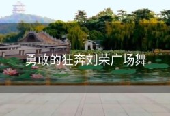 勇敢的狂奔刘荣广场舞