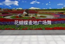 花蝴蝶麦地广场舞