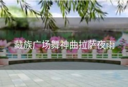 藏族广场舞神曲拉萨夜雨