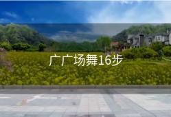 广广场舞16步