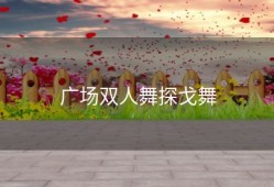 广场双人舞探戈舞
