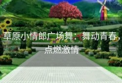 草原小情郎广场舞：舞动青春，点燃激情