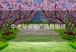 中老年长袖广场舞服装