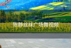 陈静丝袜广场舞视频