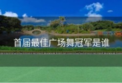 首届最佳广场舞冠军是谁