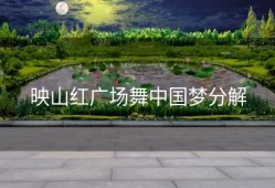 映山红广场舞中国梦分解