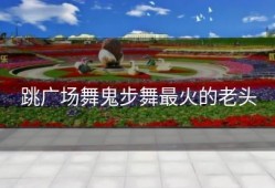 跳广场舞鬼步舞最火的老头