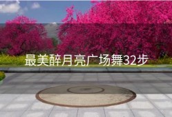 最美醉月亮广场舞32步