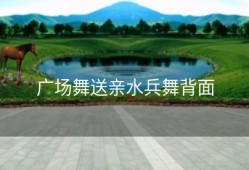 广场舞送亲水兵舞背面