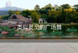 类似灵灵的广场舞