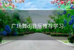 广场舞dj音乐推荐学习