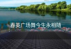 春英广场舞今生永相随