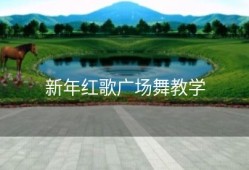 新年红歌广场舞教学