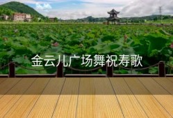 金云儿广场舞祝寿歌