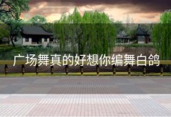 广场舞真的好想你编舞白鸽