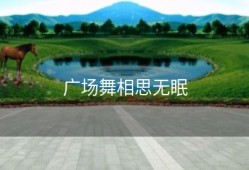 广场舞相思无眠