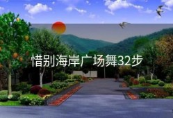 惜别海岸广场舞32步