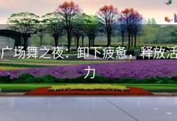 广场舞之夜：卸下疲惫，释放活力
