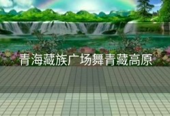 青海藏族广场舞青藏高原