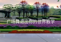 广场舞退出你的世界教学
