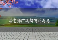 潘老师广场舞情路弯弯