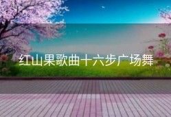 红山果歌曲十六步广场舞