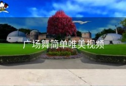 广场舞简单唯美视频