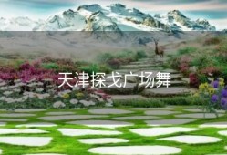 天津探戈广场舞