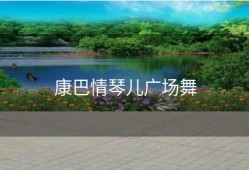 康巴情琴儿广场舞