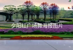 夕阳红广场舞海报图片