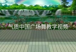 气质中国广场舞教学视频