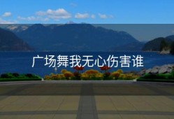 广场舞我无心伤害谁