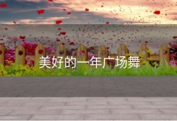 美好的一年广场舞