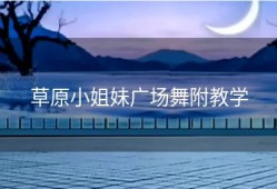 草原小姐妹广场舞附教学