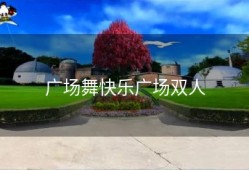 广场舞快乐广场双人