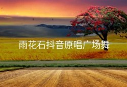 雨花石抖音原唱广场舞