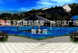 夜幕下的舞蹈盛宴：哈尔滨广场舞之夜
