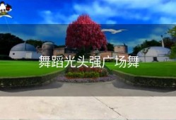 舞蹈光头强广场舞