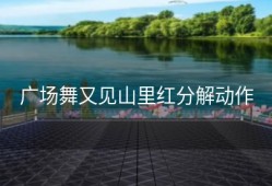 广场舞又见山里红分解动作