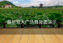 最新双人广场舞背面演示