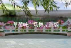 草莓味广场舞完整版