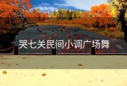 哭七关民间小调广场舞